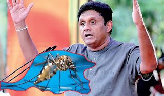 News Room : මදුරු උප්පත්තිය’ සහ කීට විද්යාඥයන්ගේ ‘මෝටර් සයිකල්’