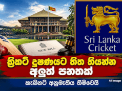 News Room : ක්රිකට් දූෂණයට තිත තියන්න හදපු අලුත් පනතට කැබිනට් එකේ කොළ ලයිට් එක පත්තුවේ! ක්රිකට් පුටු රත්කරපු අයට වැඩ වරදින ලකුණු! ~