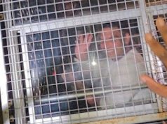 News Room : තත්වයන් වෙනස් වේවි… තවත් සීමා පනවාවි – නාමල් වැලිකඩට යන ගමන්! ~