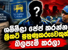 News Room : ෂම්මිලා ෂේප් කරන්න ක්රිකට් පුහුණුකරුවෙකුත් බලපෑම් කරලා