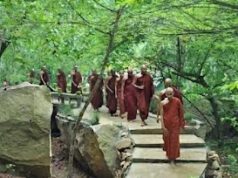 News Room : නාඋයනේ භාවනා කුටි කඩන්න යෝජනාවක්… ආරණ්යයේ හෙක්ටයාර් 167න් 100ක් ආපසු ඕනලු…! ~