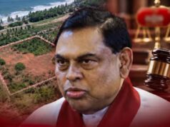 News Room : බැසිල්ගේ බ්රවුන්ස් හිල් ඉඩම ක්රියා විරහිත කරයි ~