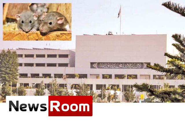News-Room-පාකිස්තාන-පාර්ලිමේන්තුවේ-මී-වසංගතයක්-දිනමිණ.jpg