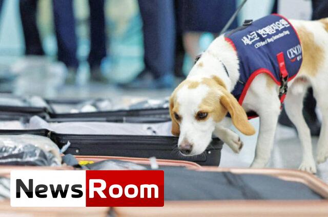 News-Room-මකුණන්-රටට-ඇතුළු-වීම-වැළැක්වීමට-කොරියාවෙන්-ගුවන්තොටුපොළේදීම.jpg
