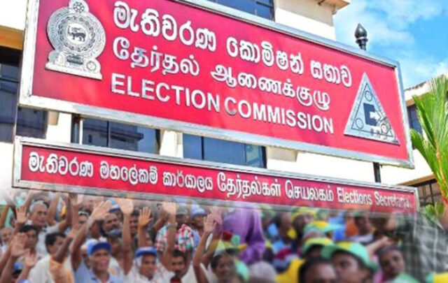News Room : EC to take legal action against candidates