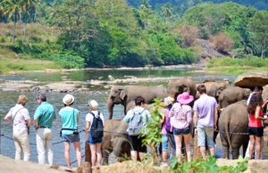 News Room : Significant 59% jump in earnings from tourism in first 10 months of this year – The Island