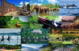 News Room : Sri Lanka’s Tourism Booms with USD 400.7 Million in January Earnings