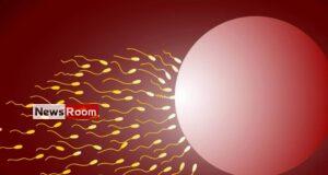 News Room : Sperm donor who fathered at least 550 kids banned by Dutch court – The Island