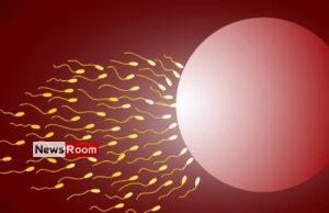 News Room : Sperm donor who fathered at least 550 kids banned by Dutch court – The Island News Room Sperm donor who fathered at least 550