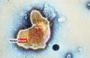 News Room : US drug regulator approves world’s first RSV vaccine