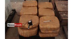 News Room : Navy nets Kerala Cannabis stash valued at over Rs. 11 Mn in Jaffna