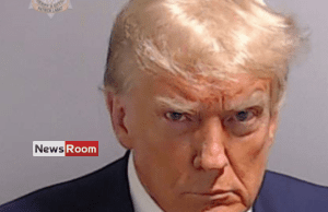 News Room : Trump Surrenders