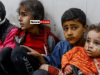 News Room : Half of Gaza’s population is starving, warns UN News Room Half of Gazas population is starving warns