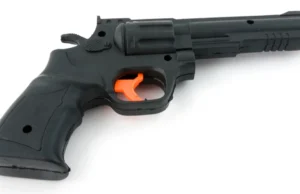 News Room : Two Youth Arrested with Toy Pistol at Namal Rajapaksa’s Campaign Event