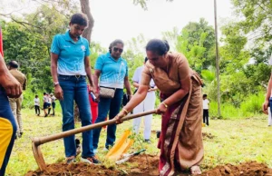 News Room : SL Olympians conduct tree planting programme