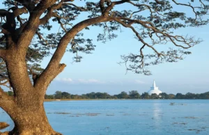News Room : Politicians Built 22 Hotels with Pools in Protected Lake Areas of Anuradhapura