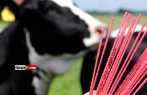 News Room : Sri Lanka to Import Sexed Bovine Semen – Dy Minister Namal Karunaratne