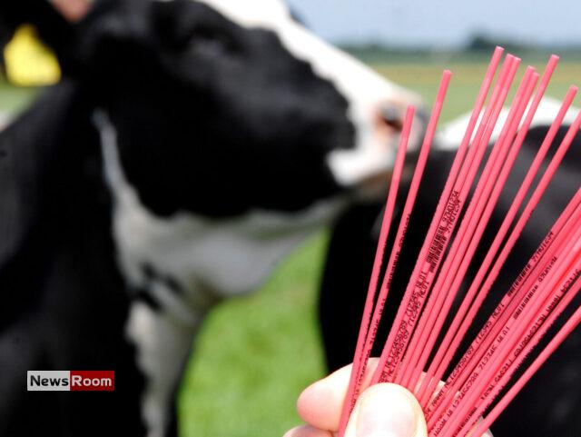 News Room : Sri Lanka to Import Sexed Bovine Semen