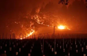 News Room : Climate change pushing winemakers to blend wines from different years