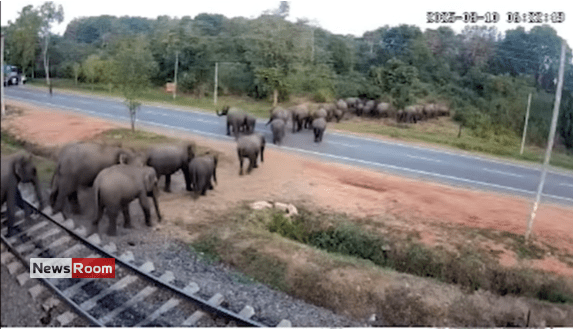 News Room : Sri Lanka Railways Installs CCTV to Curb