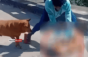 News Room : Teen Remanded for Brutal Attack on Dog in Nanuoya