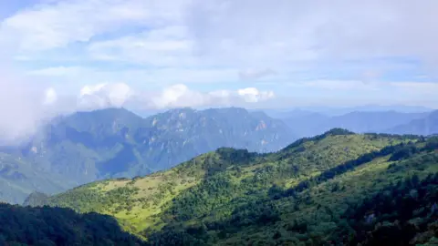News Room : The battle to save China’s rare snub-nosed