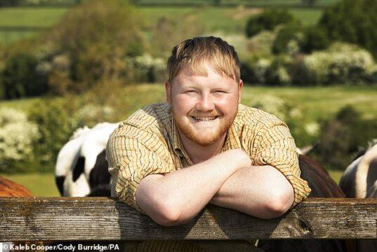 Happy man smiling outdoors with cows and green fields in background.
